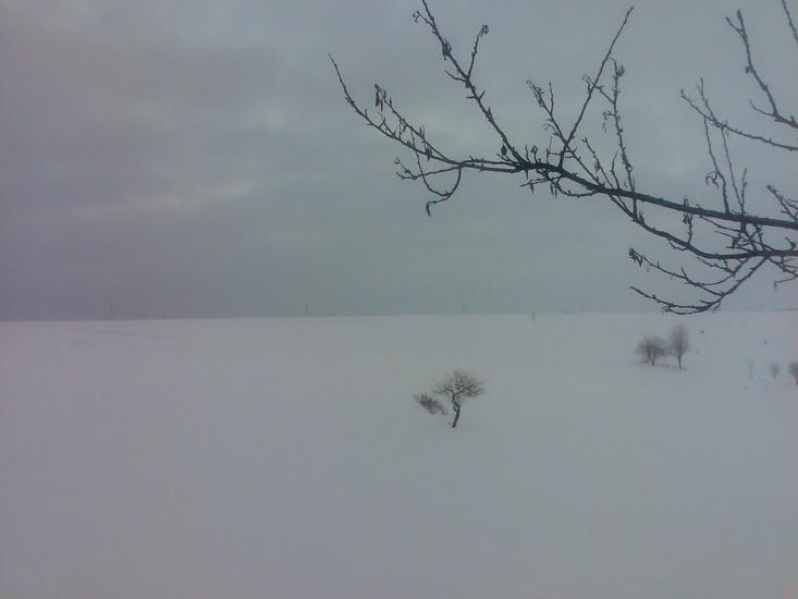 Мартинівка з panoramio.com - Мартыновка