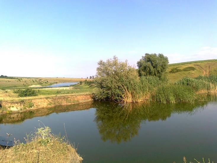 Сподобівка з panoramio.com - Сподобівка