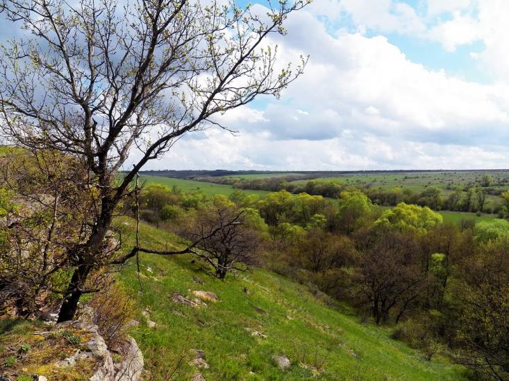 Ольховатка з panoramio.com - Olkhovatka