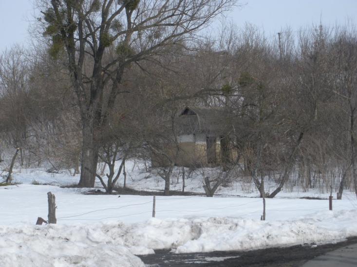 Чаплинка з panoramio.com - Чаплинка