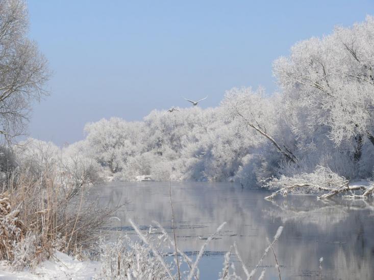 Завишень з panoramio.com - Zavyshen