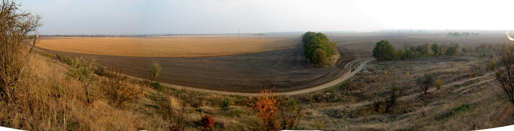 Старозаводське з panoramio.com - Старозаводське