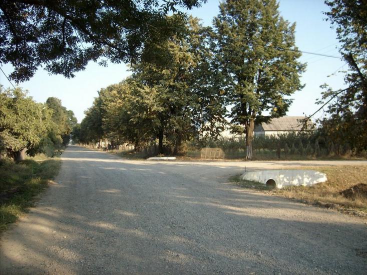 Біла Криниця з panoramio.com - Біла Криниця