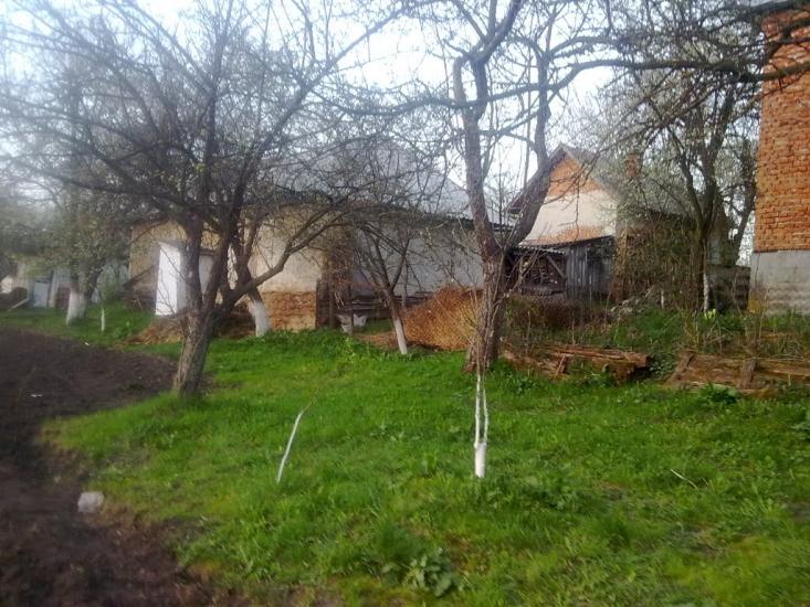 Добринів з panoramio.com - Dobryniv