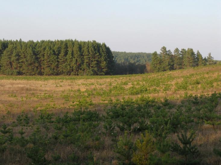 Бірки з panoramio.com - Бирки