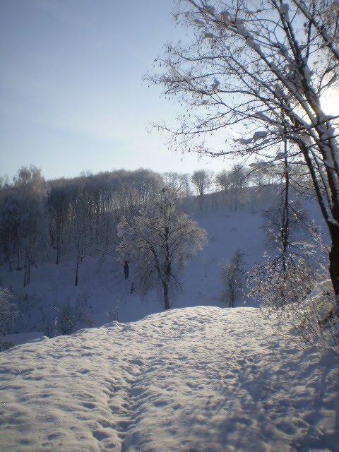 Сунки з panoramio.com - Sunky