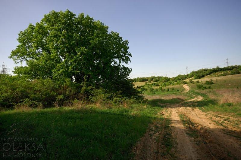 Фронтове з panoramio.com - Фронтове