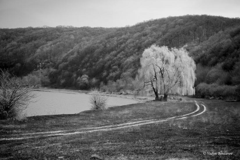 Рашків з panoramio.com - Рашків