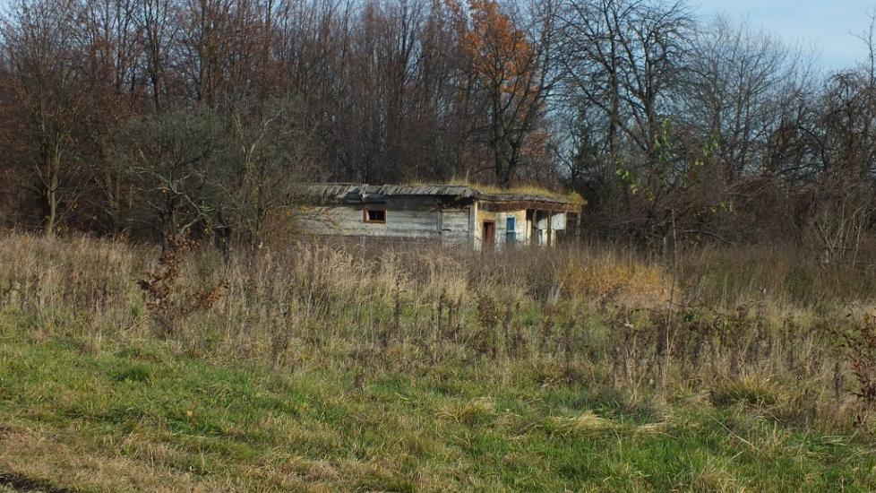 Бондарів з panoramio.com - Бондарев