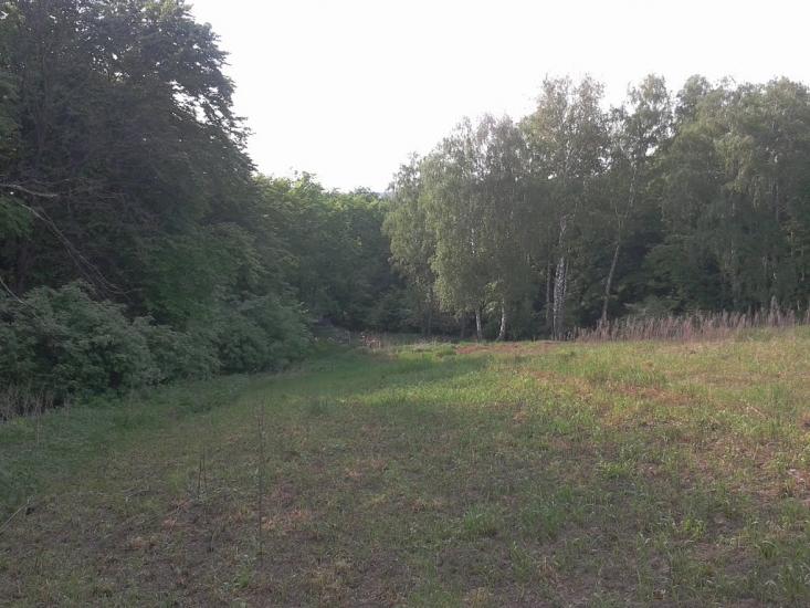 Обухів з panoramio.com - Обухов