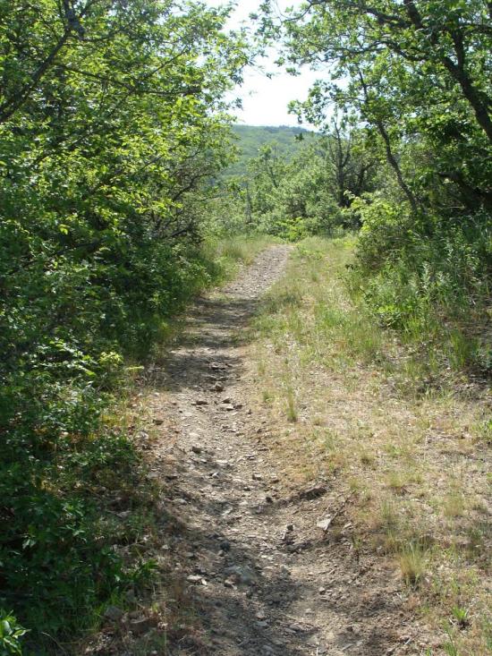 Громівка з panoramio.com - Громівка