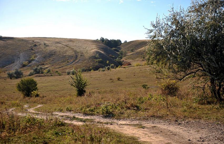 Білокузьминівка з panoramio.com - Білокузьминівка