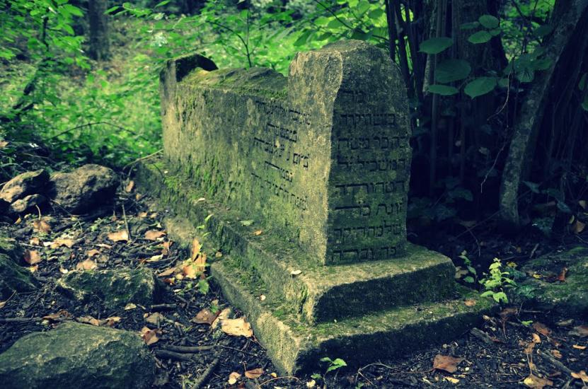 Високе з panoramio.com - Высокое
