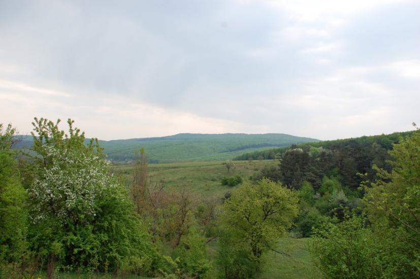 Горошівці з panoramio.com - Горошовцы