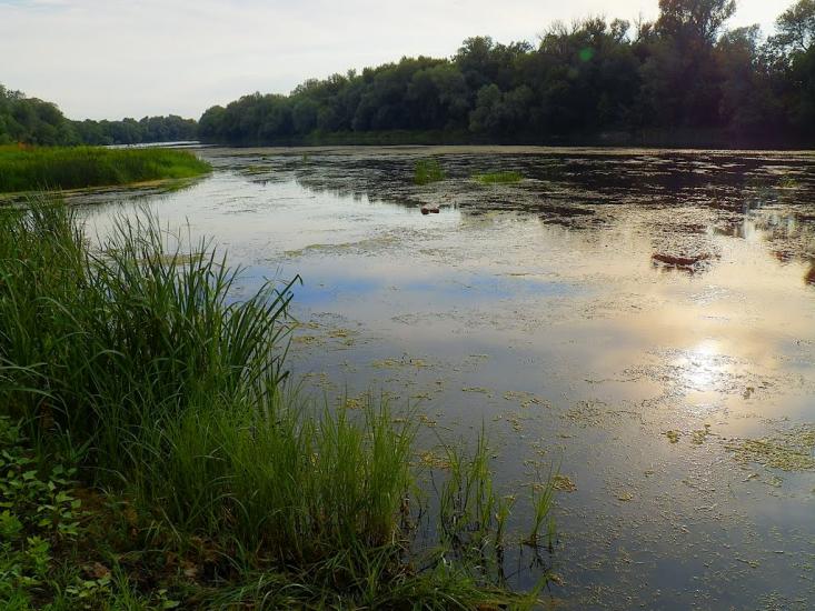 Жовте з panoramio.com - Желтое
