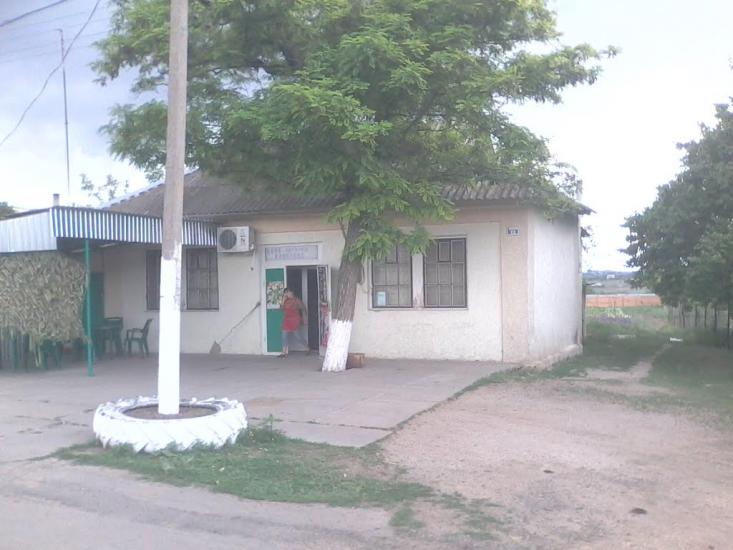 Новотимофіївка з panoramio.com - Новотимофіївка