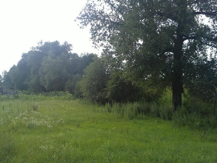 Велика Чернявка з panoramio.com - Велика Чернявка