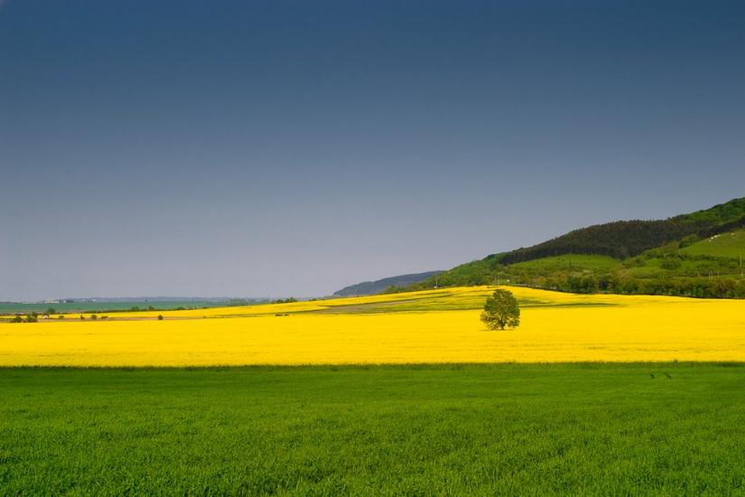 Стінка з panoramio.com - Стінка