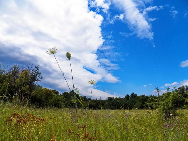 Чорнухине з panoramio.com - Чернухино