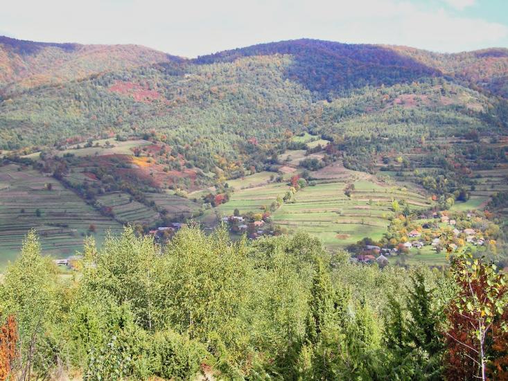 Люта з panoramio.com - Люта