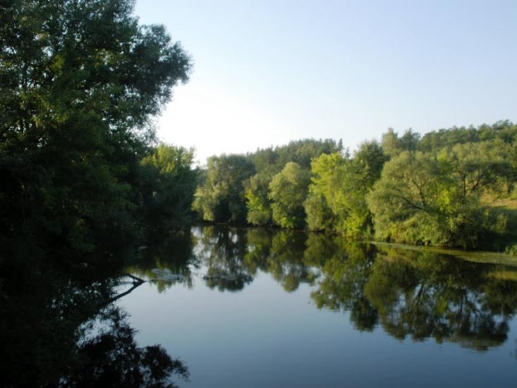 Вільха з panoramio.com - Вільха