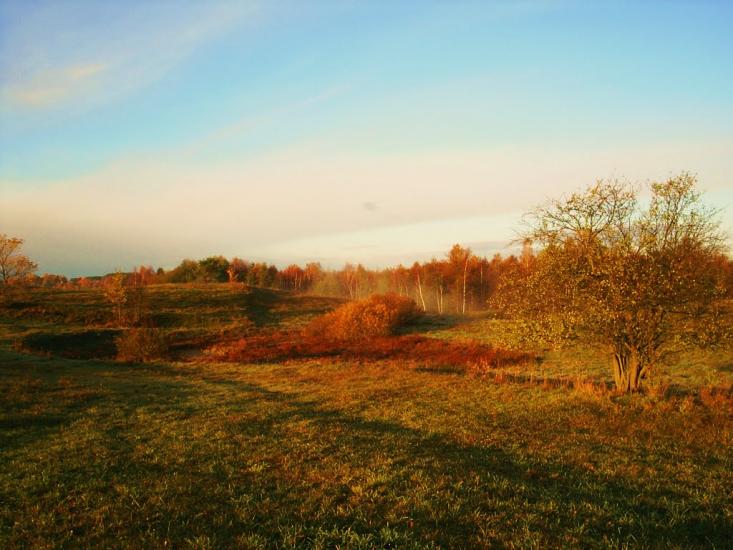 Краснопіль з panoramio.com - Краснопіль