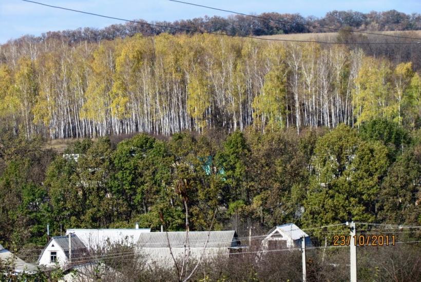 Вікнине з panoramio.com - Вікнине