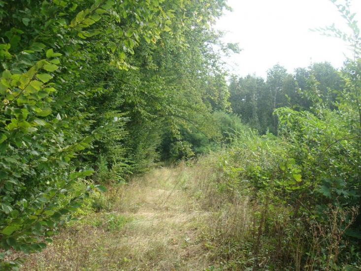 Ставчани з panoramio.com - Ставчаны