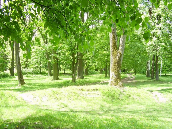 Зарванці з panoramio.com - Зарванцы