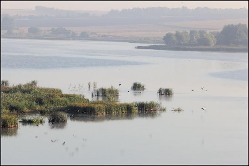 Стрілеча з panoramio.com - Strilecha