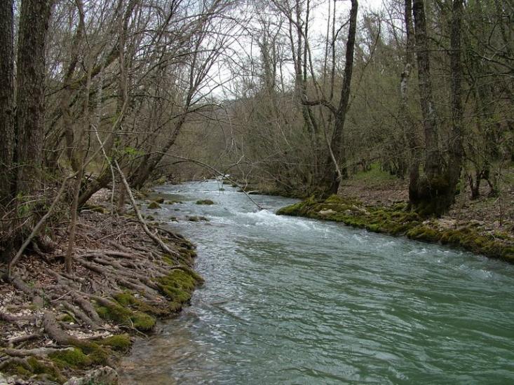 Данилове з panoramio.com - Данилово