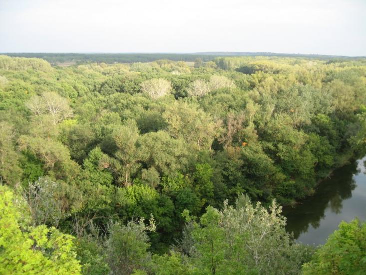Плавні з panoramio.com - Плавни