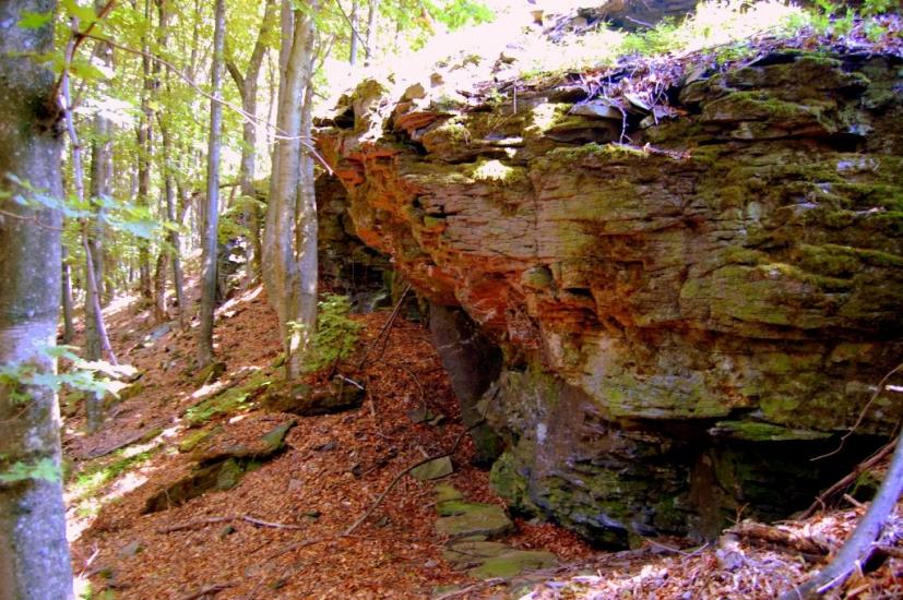 Гута з panoramio.com - Гута