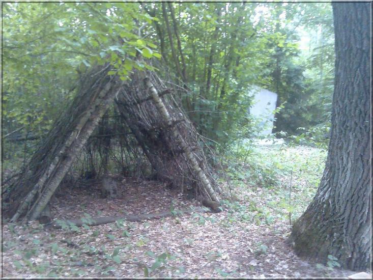 Кушкине з panoramio.com - Кушкино