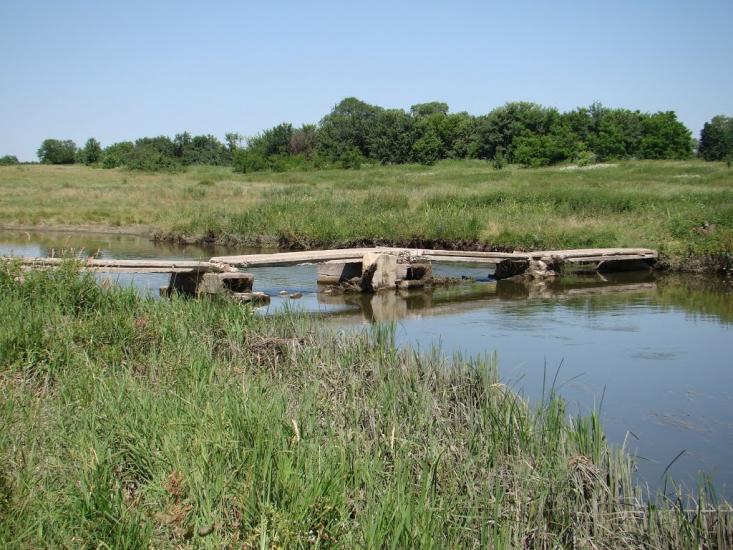 Лісова Лисіївка з panoramio.com - Лісова Лисіївка