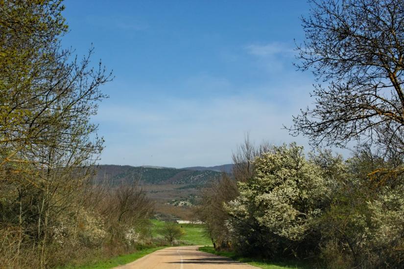 Орлине з panoramio.com - Orlyne