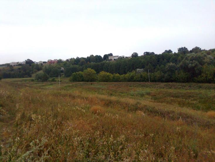 Сад з panoramio.com - Сад