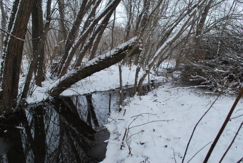 Грушківка з panoramio.com - Grushkivka