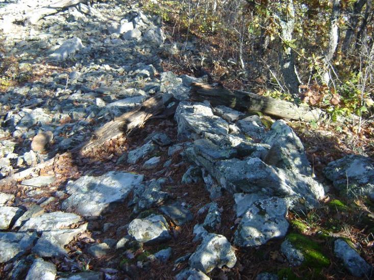 Виноградний з panoramio.com