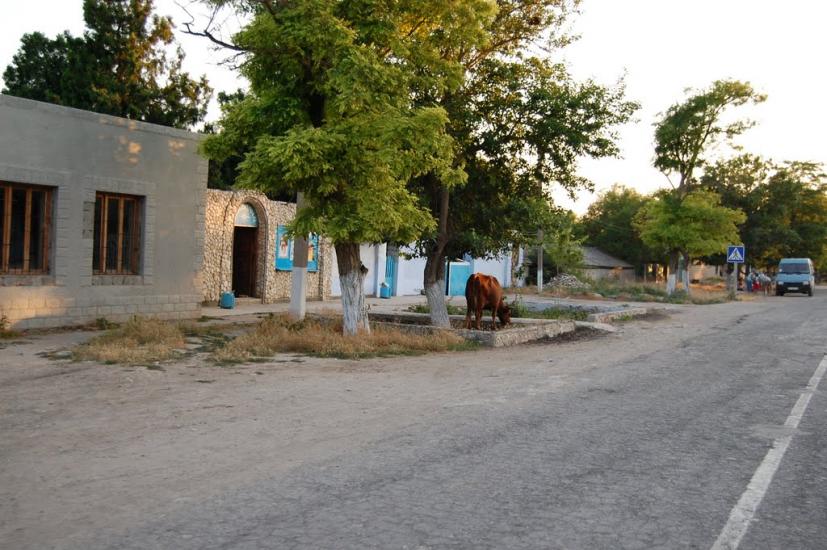 Окунівка з panoramio.com - Окуневка