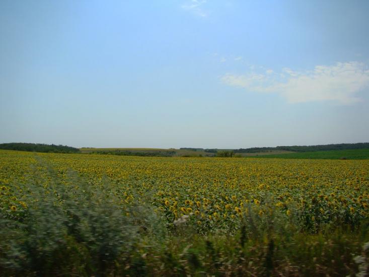 Баландине з panoramio.com - Баландино