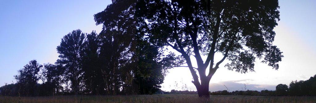Мар'янівка з panoramio.com - Мар'янівка