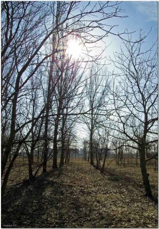 Новомайське з panoramio.com - Новомайское