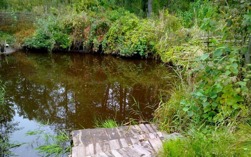 Заможне з panoramio.com - Заможное