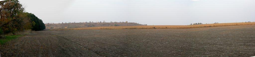 Старозаводське з panoramio.com - Старозаводское