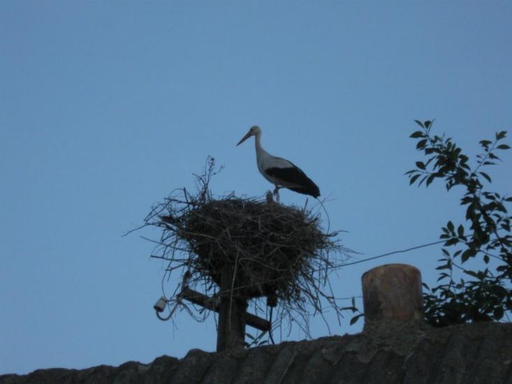 Дітинець з panoramio.com - Дітинець