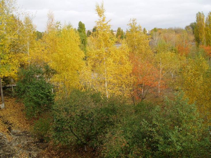 Ювілейне з panoramio.com - Юбилейное