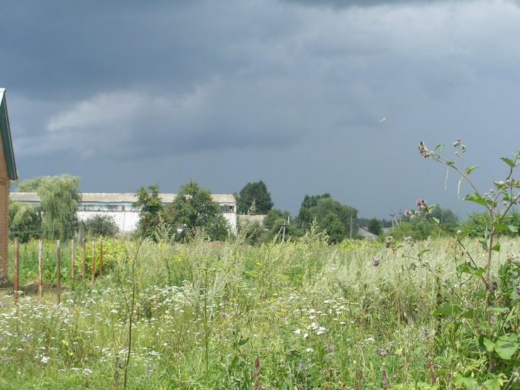 Зарванці з panoramio.com - Зарванці