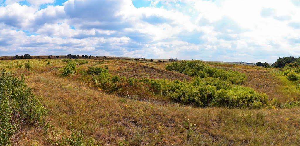 Чорнухине з panoramio.com - Чернухино