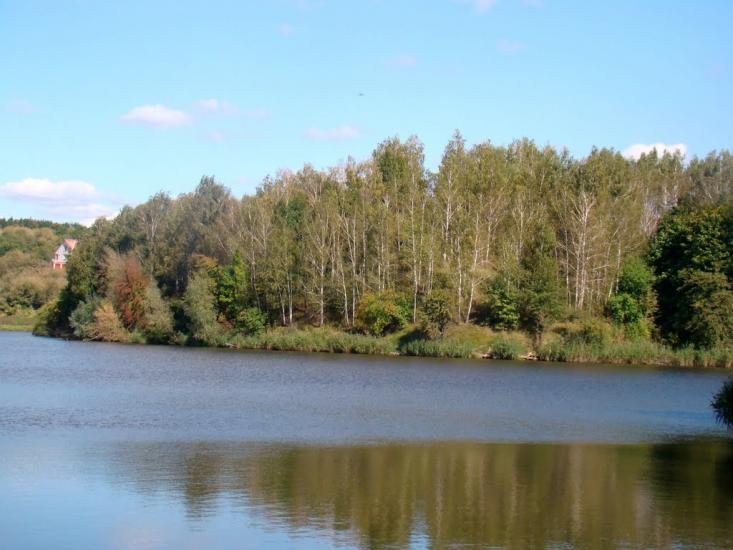 Великі Прицьки з panoramio.com - Великі Прицьки